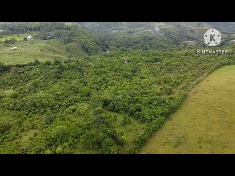 1 Caballeria de Terreno en venta en Melchor de Mencos Petén escriturada vea  el Video info 47832177