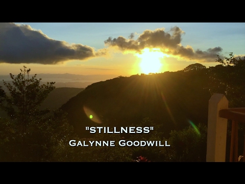 Promotional video thumbnail 3 for Galynne Goodwill