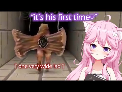 Nyanners Wide Boi Encounter