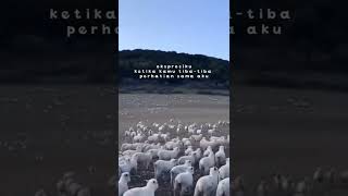 Download lagu STORY WA TERBARU 4 JULI 2022 mp3