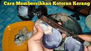 Download lagu Cara membersihkan kotoran kerang Air Tawar || cara membuang tai kerang / kotoran lokan mp3