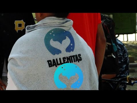 ALFABETO vs SAMURAI: Final - Ballenitas FECHA 2 (TEMPORADA 1)