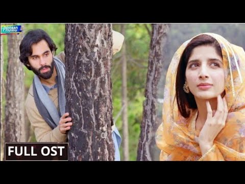Neem OST Song || Mawra Hucane, Ameer Gilani, Arslan Naseer And Syed Jibran ||  @HUMTV