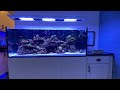 Red Sea Reefer 525 XL W/ Neptune Apex - Tour