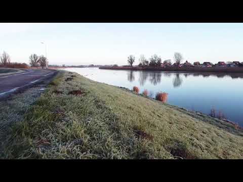 I think some geese are scared of drones - DJI MAVIC MINI