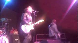 New Medicine Like A Rose