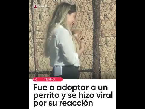 🥹🐶 Fue a adoptar a un perrito y su tierna reacción se volvió viral en las redes | #QUEPASASALTA