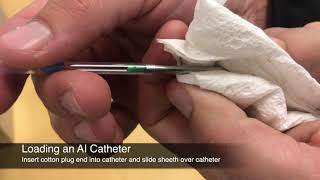 Preparing and Handling Catheters for Artificial Insemination of Cattle - Mizzou Repro