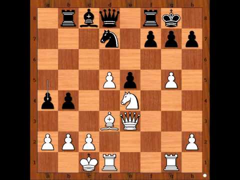 The King Hunt: Medvegy Nora vs Hilmer Frank - Austria 1992
