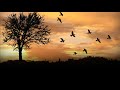 NEPALI FLUTE Ringtone Free Nepali Ringtone Relaxing Ringtone Nepali Ringtone Songringtone Phone
