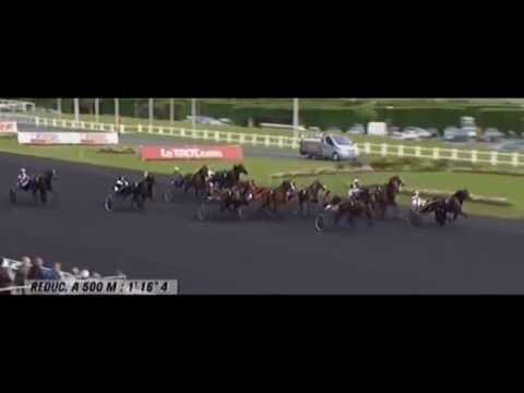 Prix Camilla 2014_Duke Of Greenwood_H. Langeweg Jr.