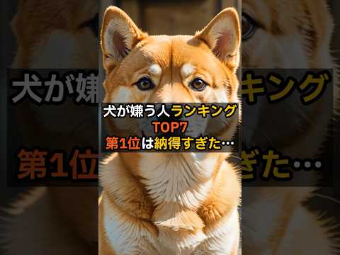 犬が嫌う人ランキングTOP7｜第1位は納得すぎた。