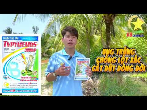 ⚠️⚠️ RẦY PHẤN TRẮNG TRÊN LÚA - NỔI LO CỦA MỌI QUÝ NHÀ NÔNG TRONG VỤ ĐÔNG XUÂN!