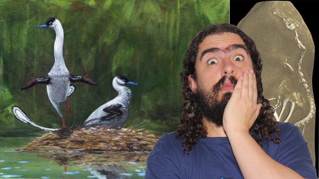 O incrível dino-pato da Mongólia (#Pirula 237)