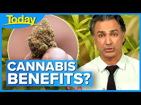 Could cannabis become a medical staple? New research reveals more benefits | Today Show Australia