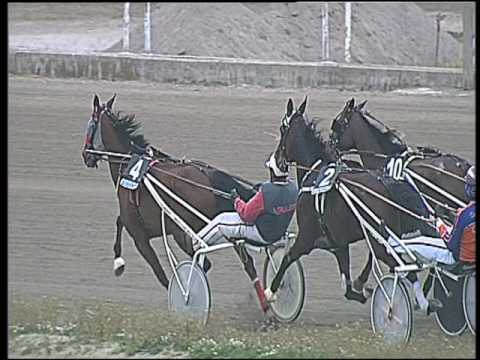 Trotto 19/03/2017 - 4ª corsa