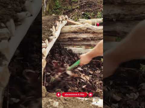 Laub im Naturgarten: Kostenloser Boden-Booster und Winterschutz