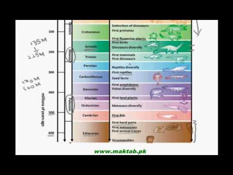 FSc Biology Book1, CH 1, LEC 6: Living World In Space and Time