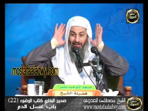  شرح صحيح البخارى   كتاب الوضوء 22 