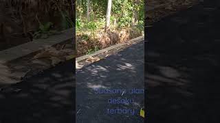 Download lagu Alam pedesaan hari ini # Shorts l jalan desa mp3 Download lagu Alam pedesaan hari ini # Shorts l jalan desa mp3