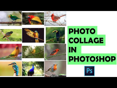 Photo collage in Photoshop Photoshop Tutorial