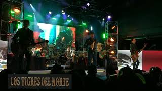 Los Tigres Del Norte - Los Hijos De Hernández - En Vivo