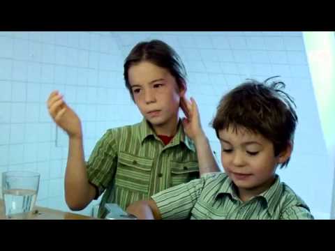 DOXA 2016 - Brothers trailer