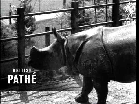 Music Hath Charms! (1936)