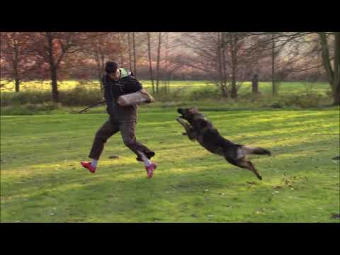 Patricia z Jukasu - protection 11/2019