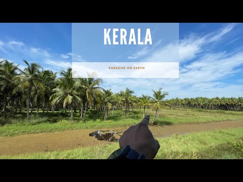 KERALA VLOG | VADANAPALLY BEACH | THRISSUR