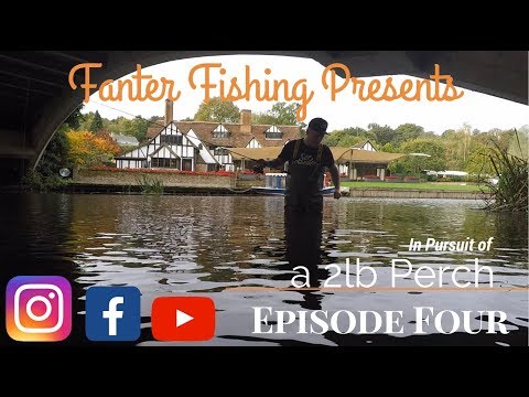 Fanter Fishing Episode 4 Pursuit of a 2lb Perch LOADS CAUGHT on Suffolk Dedham River Stour plus Pike