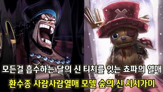 [원피스 분석] 모든걸 흡수하는 인력의 힘을 가진 달의 신 티치 그리고 환수종 사람사람열매 모델 숲의 신 시시가미
