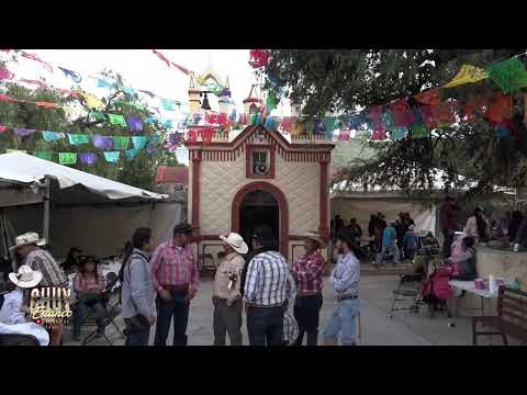 Gran Cabalgata en Honor a la Virgen del Carmen 2026