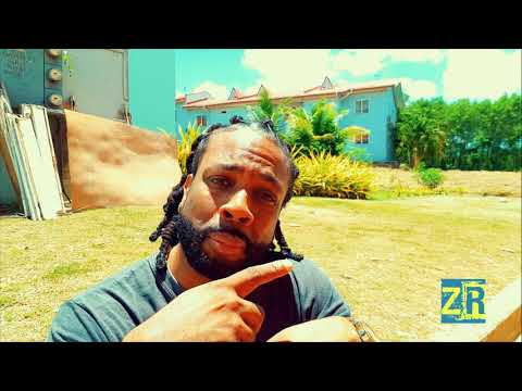 Ziggy Ranking - Flash Back