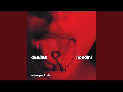 Video thumbnail for Houdini (Adam Port Mix)