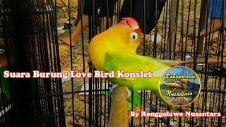 Download lagu Suara Burung Love Bird Konslet Gacor | Ronggolawe Nusantara mp3
