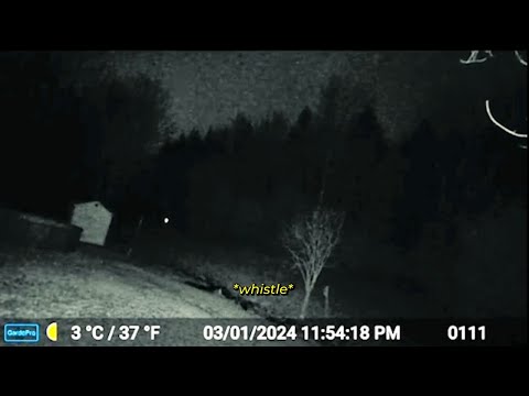 5 DISTURBING Appalachian Videos