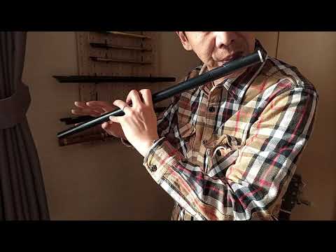 An Eala Bhàn : Irish Flute cover