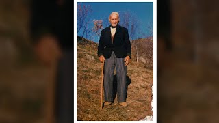 Viktor Paloka - Rrini Mire Ka Tjane Pal Suta