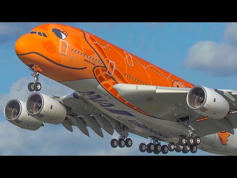 60 MINUTES PURE AVIATION - Special Liveries only! - Airbus A380, Boeing 747 ... (4K)