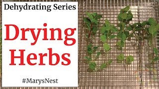 Dehydrating Herbs and Drying Herbs - FOOD DEHYDRATING 101