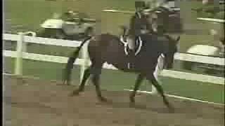 Renaissance at Lake Placid Horse Show 2008 *FOR SALE*