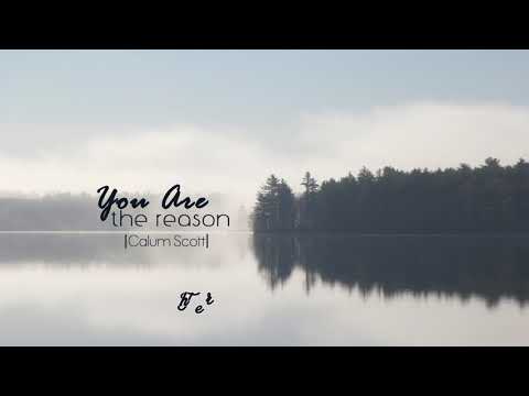 [Vietsub + Lyrics] You Are The Reason - Calum Scott