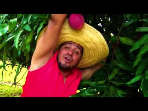 Las Arrancamontes 2   FUZION 4 Video Oficial HD By Elcuco Nica