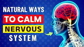 10 Natural Ways to Calm Your Nervous System (Reduce Stress Naturally)