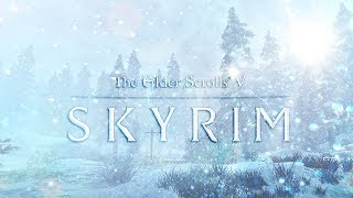 The Elder Scrolls V: Skyrim Прохождение. Держим путь через снега.Пик идиота #16