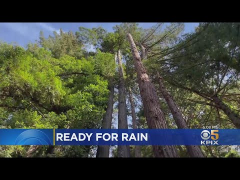 Weather La Honda Ca