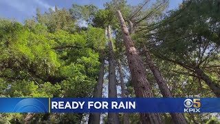 Storm Watch: La Honda Residents Ready For Rain, Hope For Relief From Fire Danger