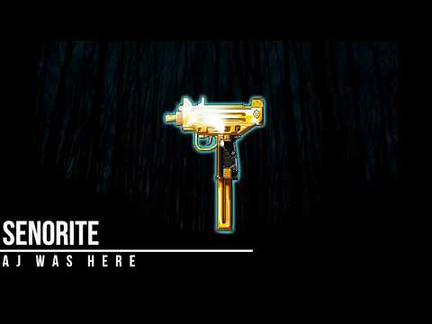 [FREE] Señorita - ( Travis Scott Ft. Young Thug x Wondagurl x Meek Mill x Gunna) Type Beat