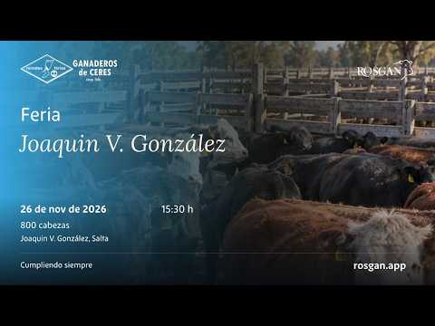 Feria Joaquin V. González | Joaquin V. González, Salta